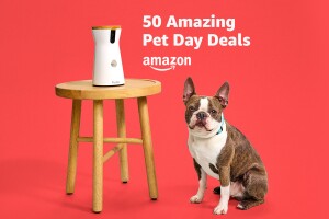 Amazon Pet Day 2024 Deals Preview: 50 of the best deals on carriers, toys, treats, and more