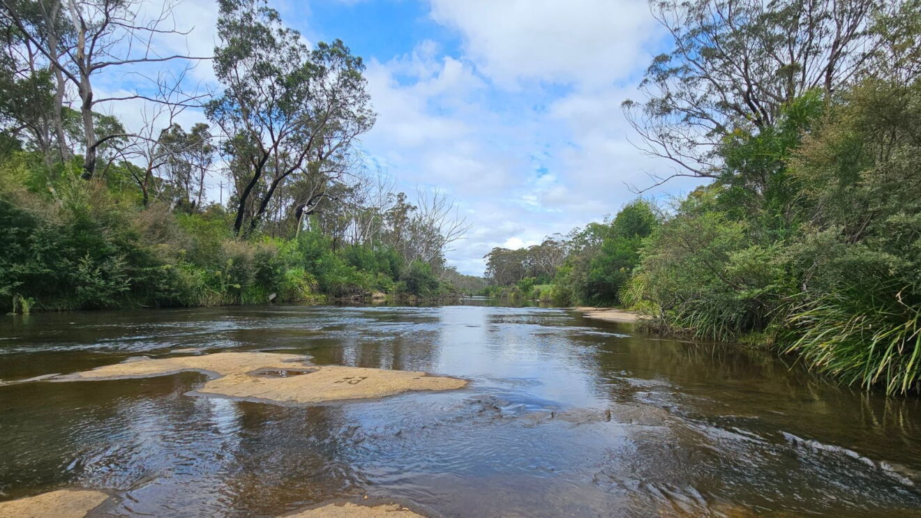 AWS and Great Eastern Ranges partner on sustainable restoration in Greater Sydney