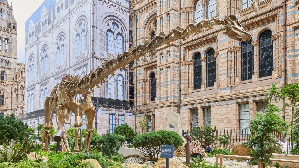 An image of a dinosaur skeleton in the garden of the Natural History Museum.