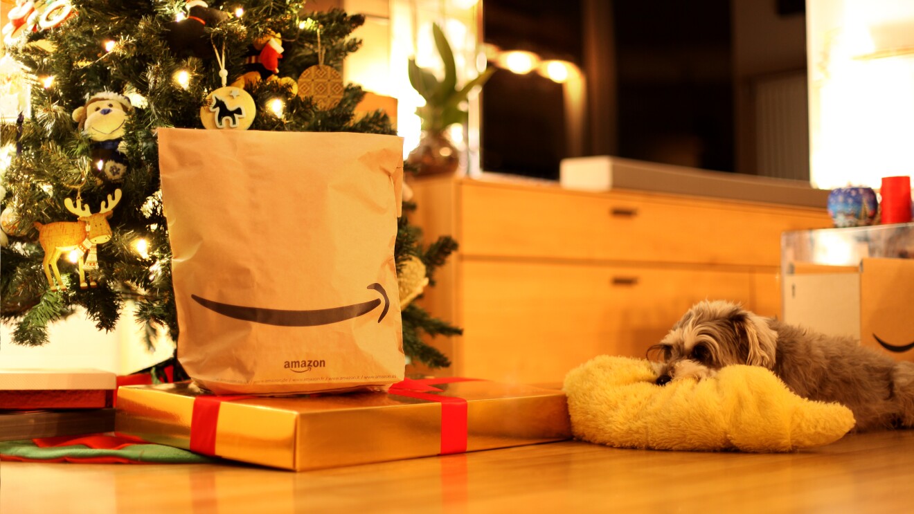 BP_HighRes_Xmas Amazon Sustainable Packaging
