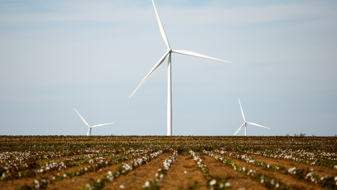 Amazon Wind Farm Texas. Parque eólico en Texas (EE.UU.). En la foto, dos tercera partes es cielo y una tercera parte es suelo. El cielo es de color azul, sin nubes, el suelo es de color marrón y cultivado con plantas de color verde. Hay tres molinos de viento con tres asas cada uno.