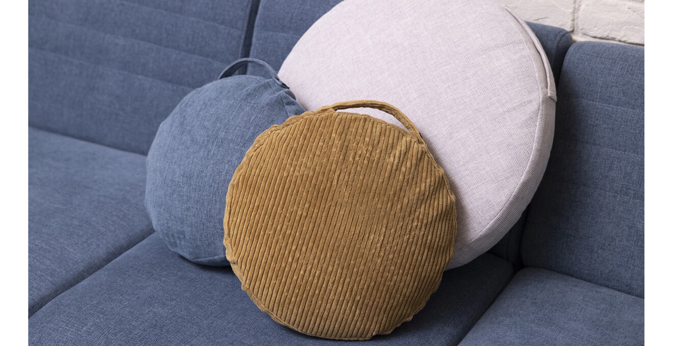 円盤型でサイドに取っ手があるバランスディスクボードの写真