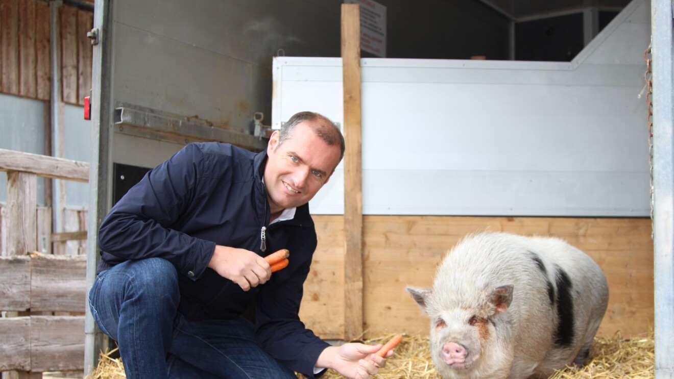 Dieter Ehrengruber füttert Schwein Timon