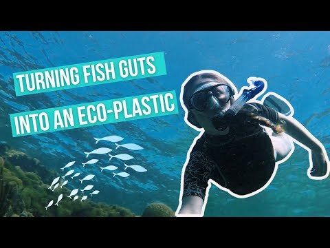 How did I turn fish guts into an eco friendly plastic? – with Lucy Hughes, Ocean Protector (90 secs)