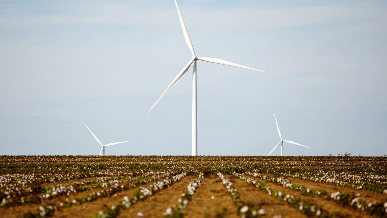 An image of a farm from one of Amazon's renewable energy projects around the world.