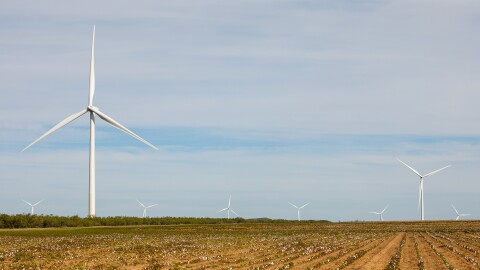 德克萨斯州的亚马逊风电场。