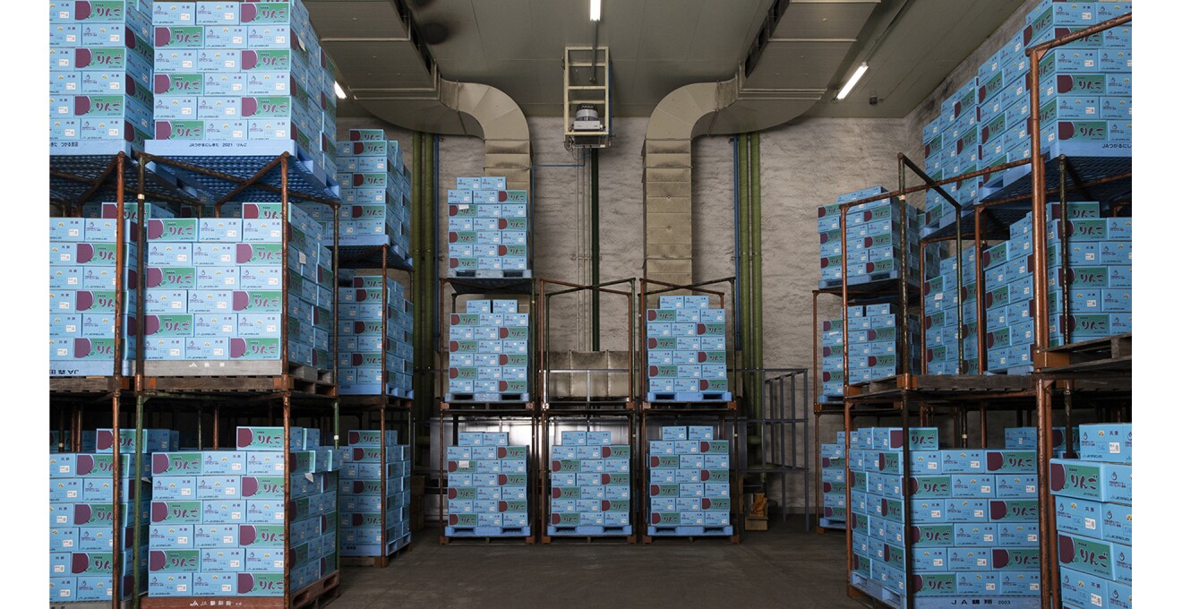 たくさんのリンゴの箱が保管された倉庫の写真