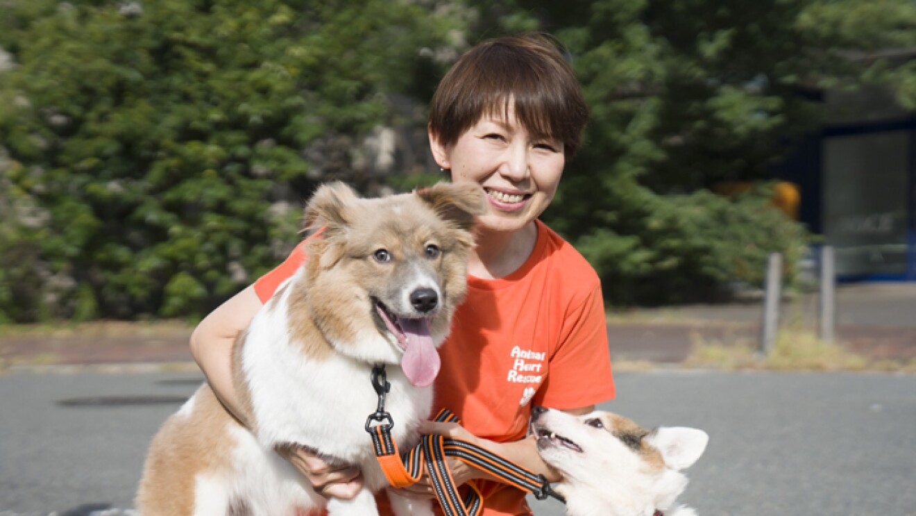 アニマルハートレスキュー代表の山本りつこさん
