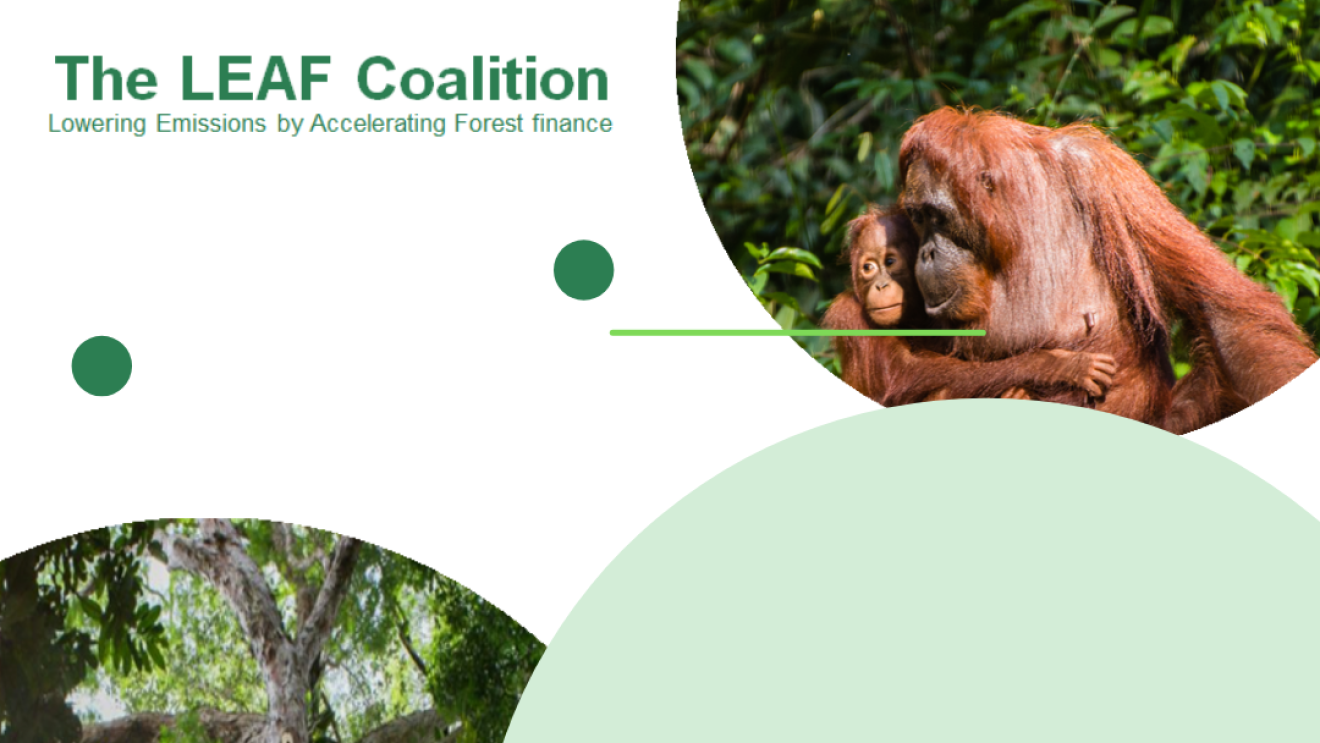 Amazon tritt der LEAF Koalition bei