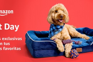 Todo lo que necesitas saber sobre Amazon Pet Day, que se llevará a cabo el 7 y 8 de mayo