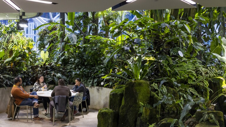 An image of several Amazon employees sitting at a round table. The area around the is filled with plants and greenery.