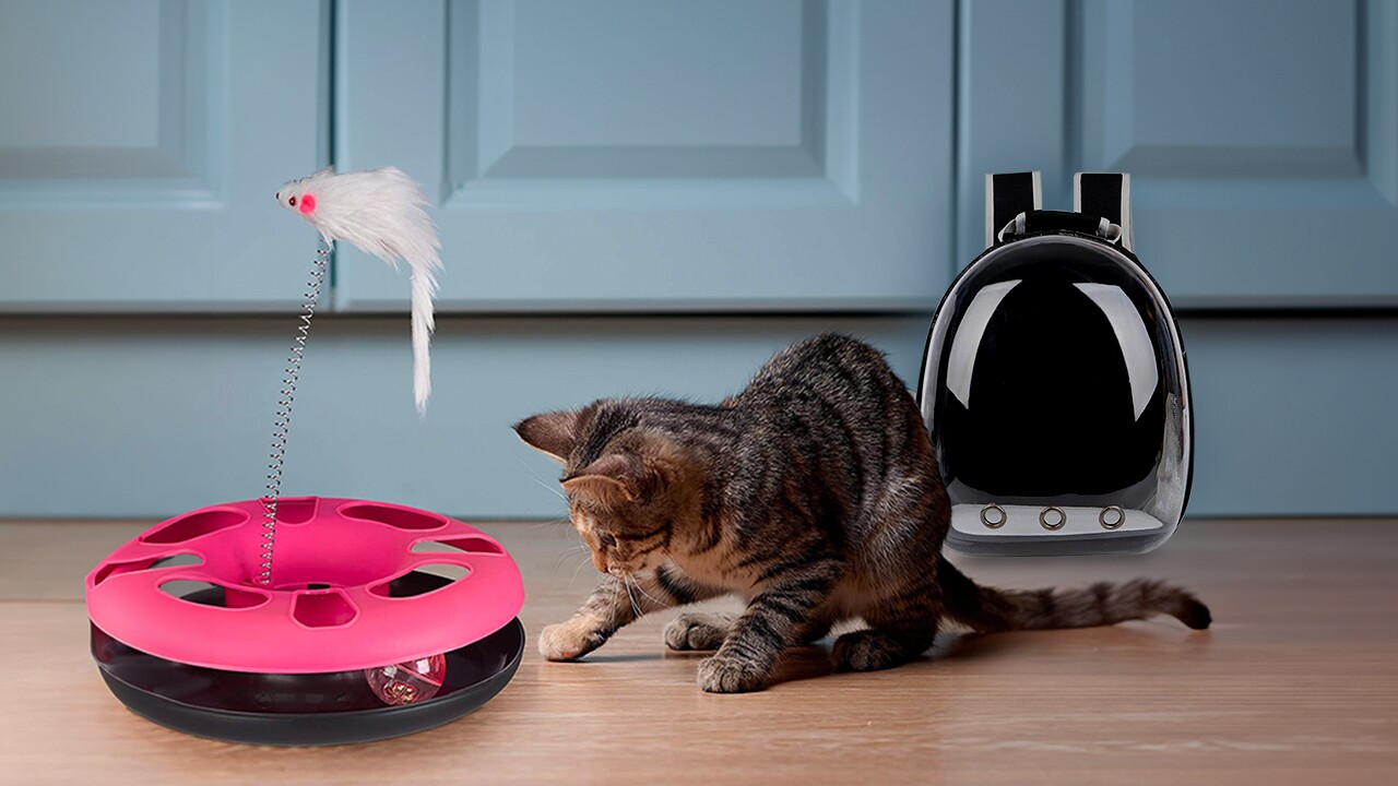 Pet accessories to pamper your furry, feathered and finned friends