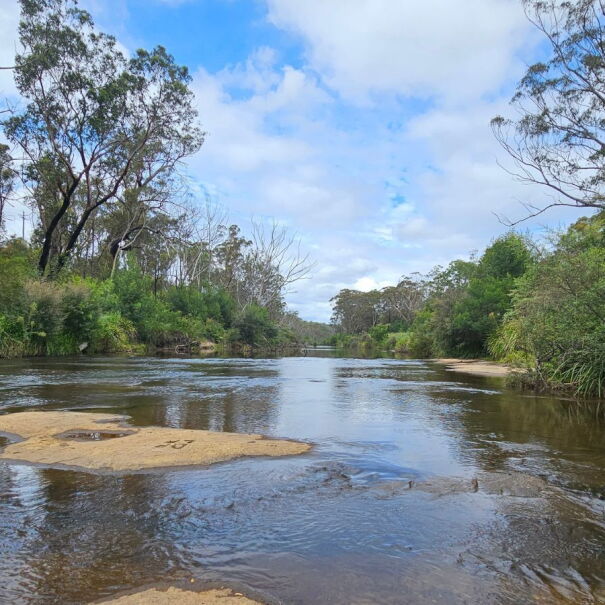 AWS and Great Eastern Ranges partner on sustainable restoration in Greater Sydney