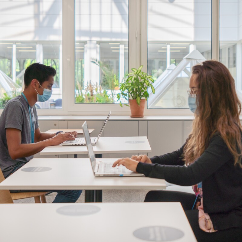 Amazon employees working at the office