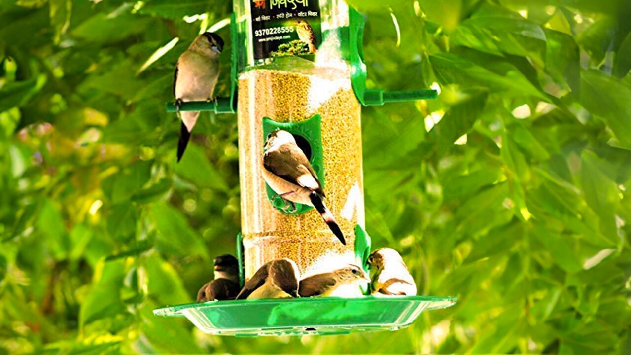 Pet accessories to pamper your furry, feathered and finned friends