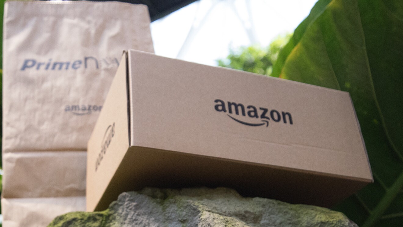 Amazon packaging box sits on a rock in the Spheres building.