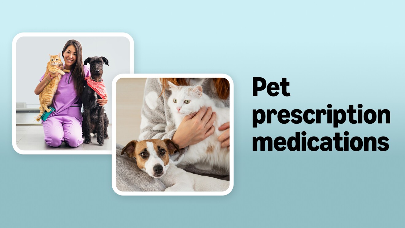 Veterinarian with pets and text about pet prescription medications