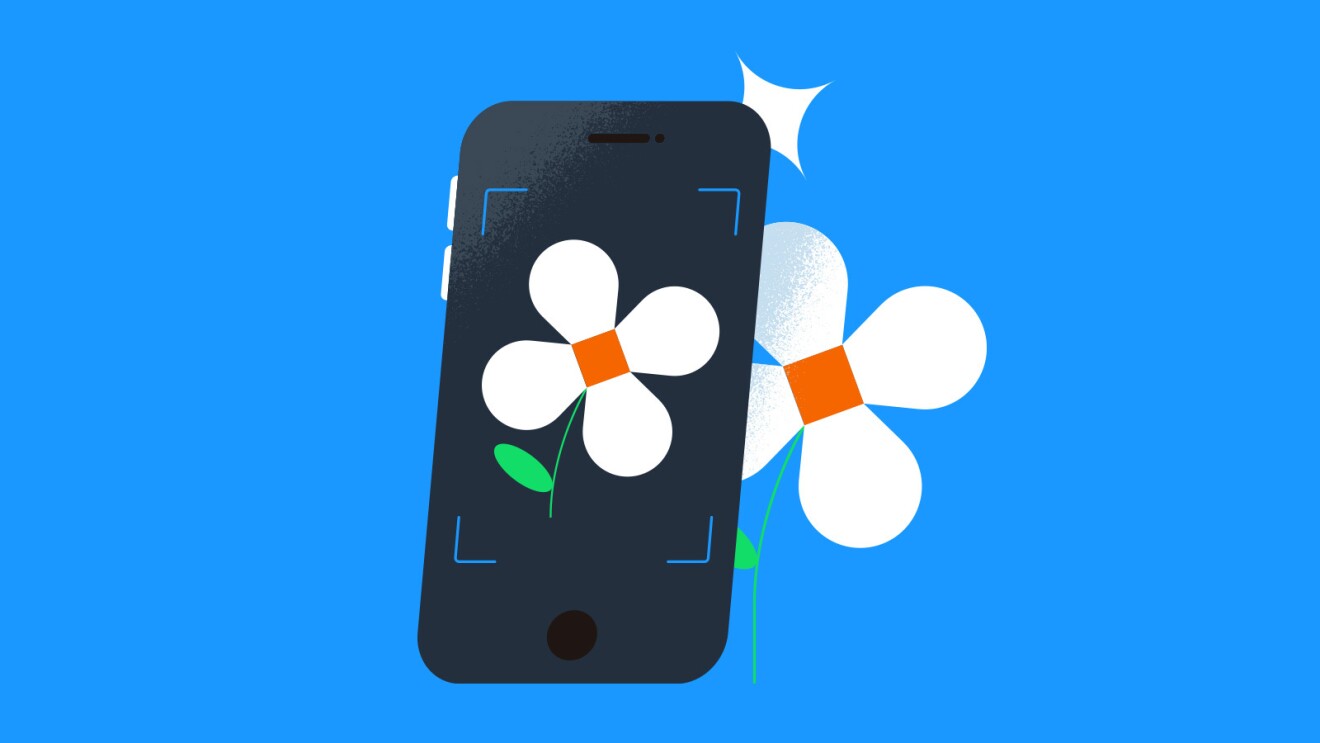 An illustrated image of a phone taking a photo of a flower.