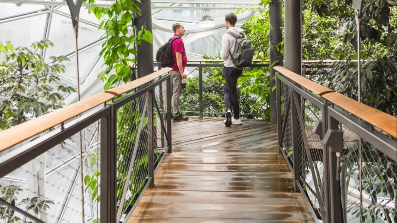 Two men stand at the end of a wooden walkway looking over a balcony toward the top of the Spheres with greenery below them.