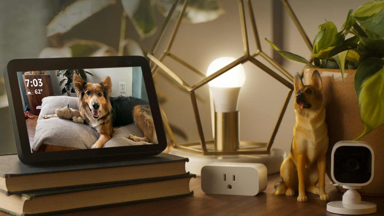An image of a table with an Echo Show on it. The Echo Show displays a photo of a German Shepherd laying on its bed and looking at the camera for a photo. Other items on the table include a gold, geometric lamp, a camera, a German Shepherd figurine, books, and an electricity outlet. 