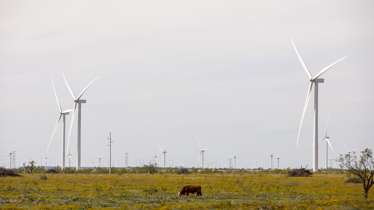 A collection of wind turbines in one of  Amazon's wind farms