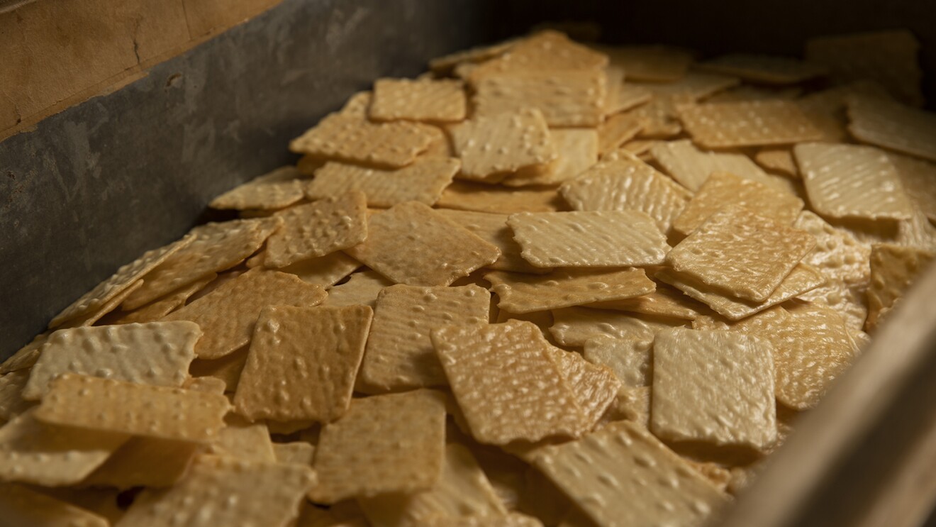 デジタルが切り拓く中小企業の未来 Vol.10　DXは老舗企業のビジネスをどう変えるか？