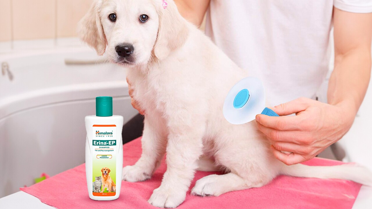 Grooming products for cats and dogs