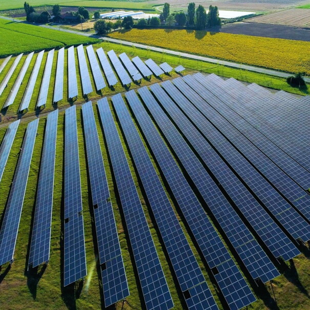 Campos verdes que en uno de ellos hay placas solares. En la foto solo se ven campos verdes, no hay cielo. Los cacmpos son de diferentes tonalidades de verde. 