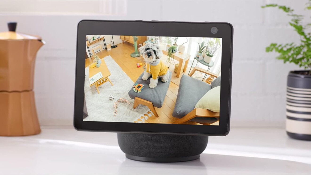 Amazon Echo Showの画面にソファに座っている犬が見える