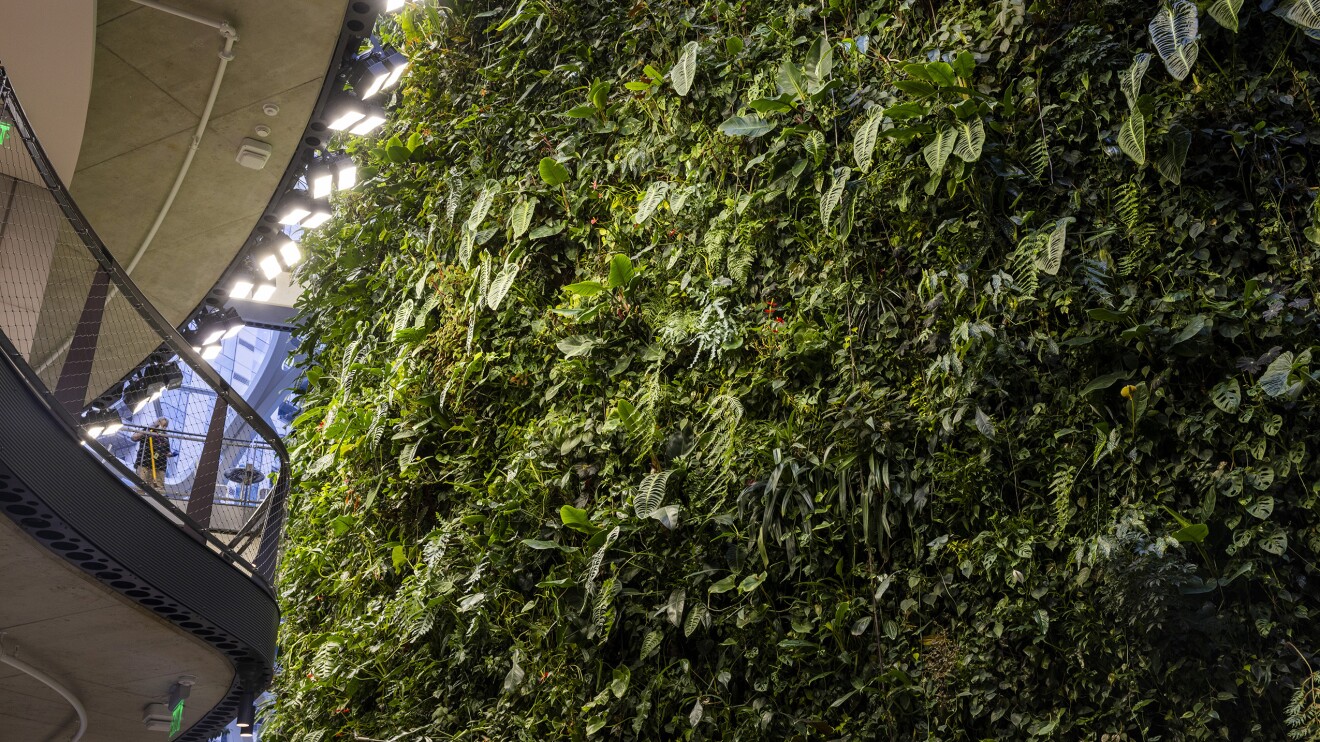 An image of the Spheres feature described below.