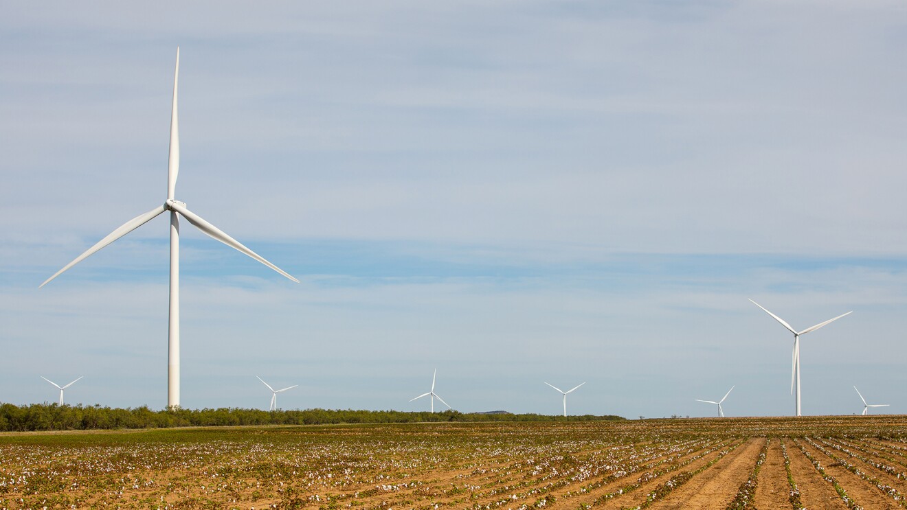 德克萨斯州的亚马逊风电场。