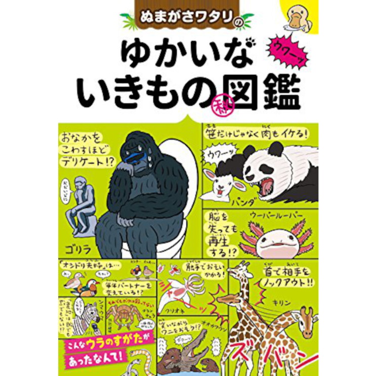 Kids plus