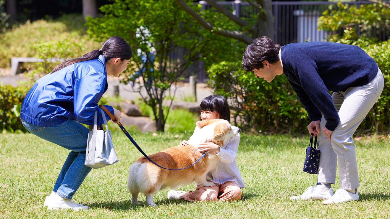 誰もが参加できる「Amazon 保護犬・保護猫 支援プログラム」で広がる支援の輪
