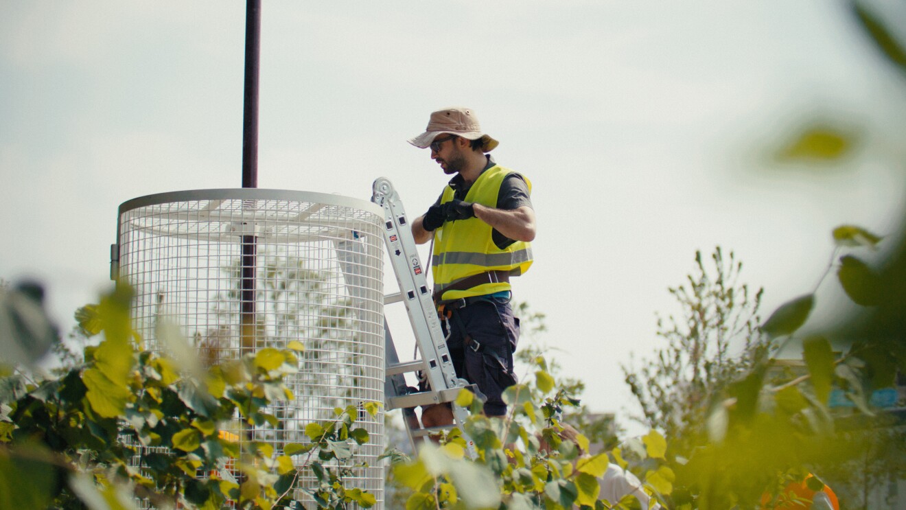 Amazon RNCF Stills47.jpg