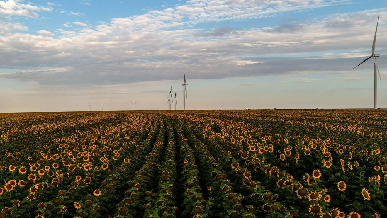 SAM_NextEr a_GreatPrairie_12.jpg