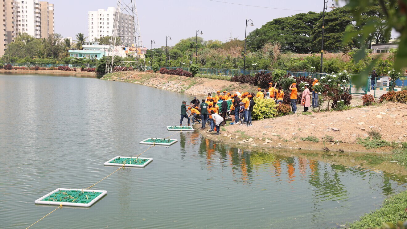 Group of people in orange vests gathered at lake shore observing floating green platforms in water