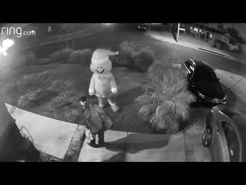 Discovering holiday surprises