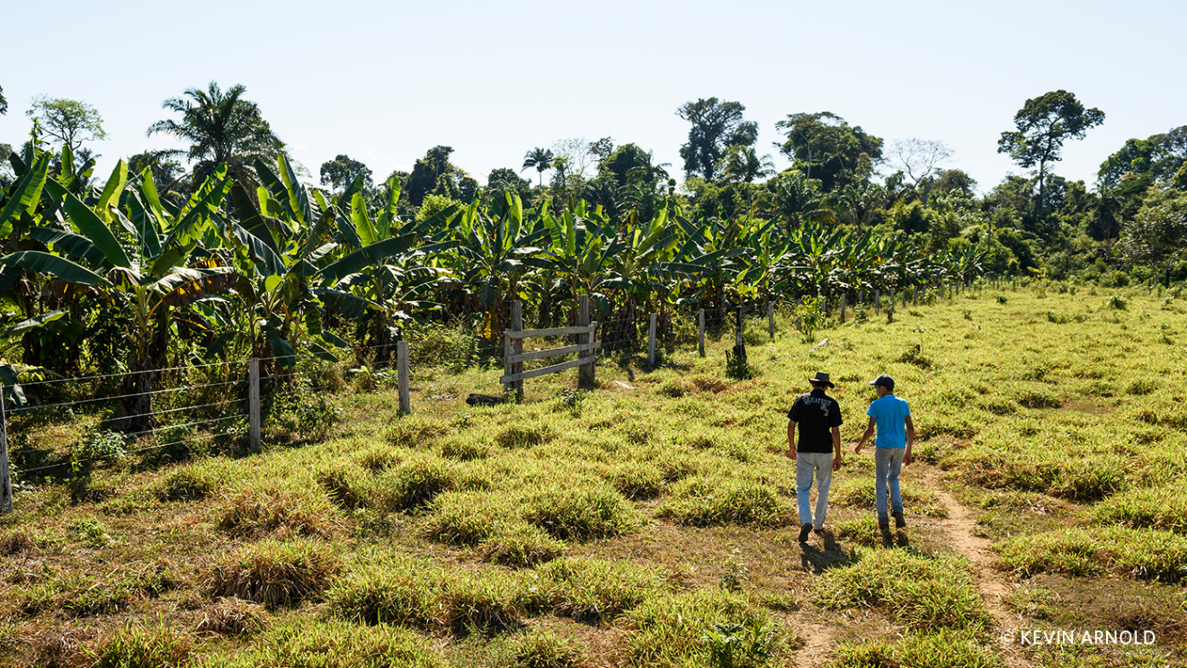Two men walk among a local Brazilian farm.