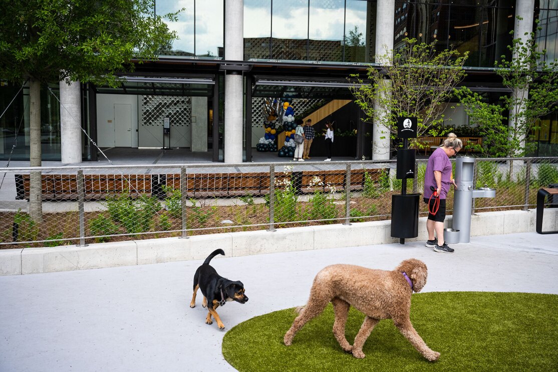 An image of dogs playing at the dog park at Amazon HQ2