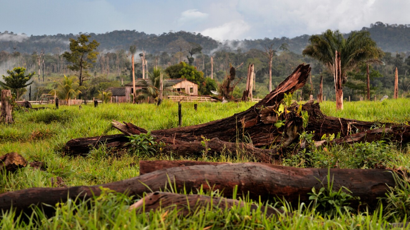 carbon credit images