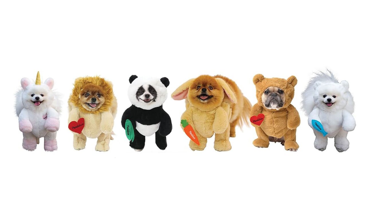 An image of dogs in a variety of Pandaloon costumes including a unicorn, a lion, a panda, a rabbit, and a teddy bear.