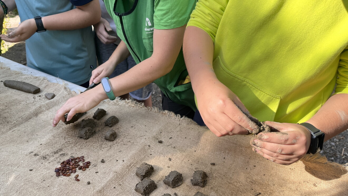 Niños hacen bolas de semillas nendo dango en el evento de lanzamiento de Cascos Verdes 