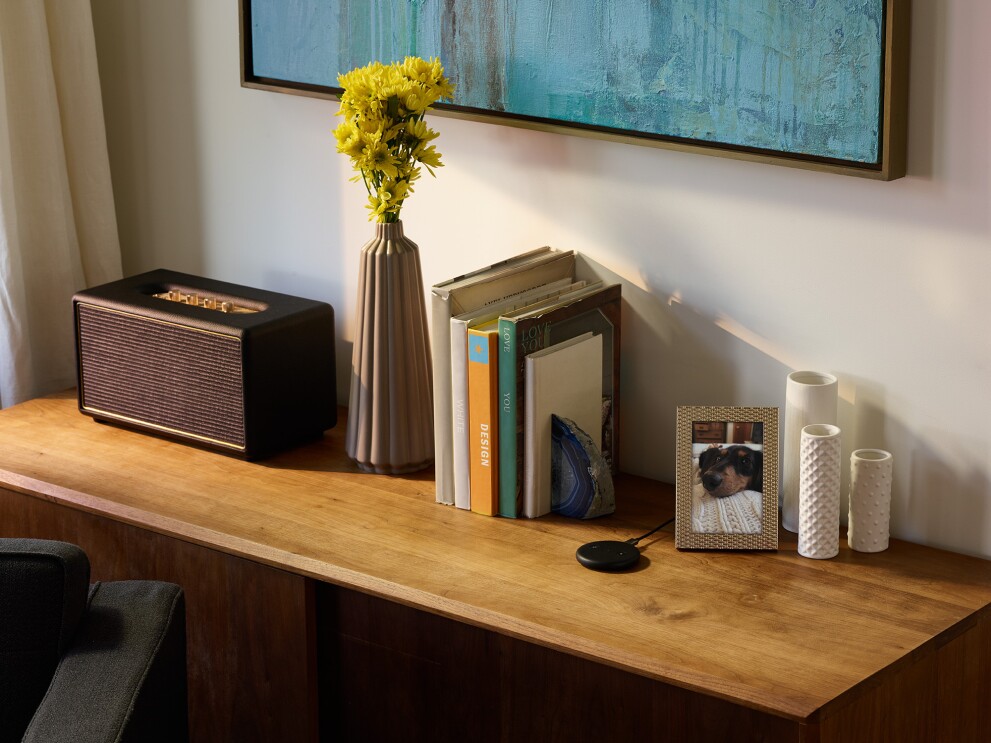 A black Echo Input device on a console table in a living room setting. Near the device is a framed photo, three ivory vases, several books, a vase with flowers and a radio.