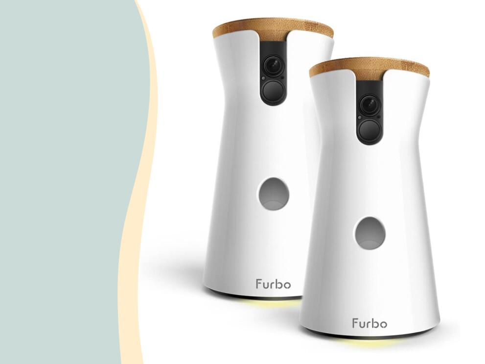 Two Furbo 360o dog cameras.