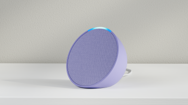 Echo Pop Lavender Bloom