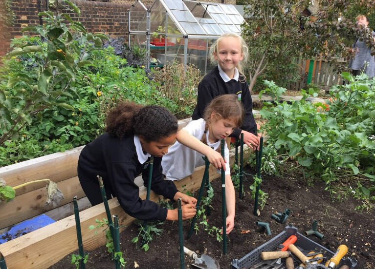 Students planting vegetables in a school garden.