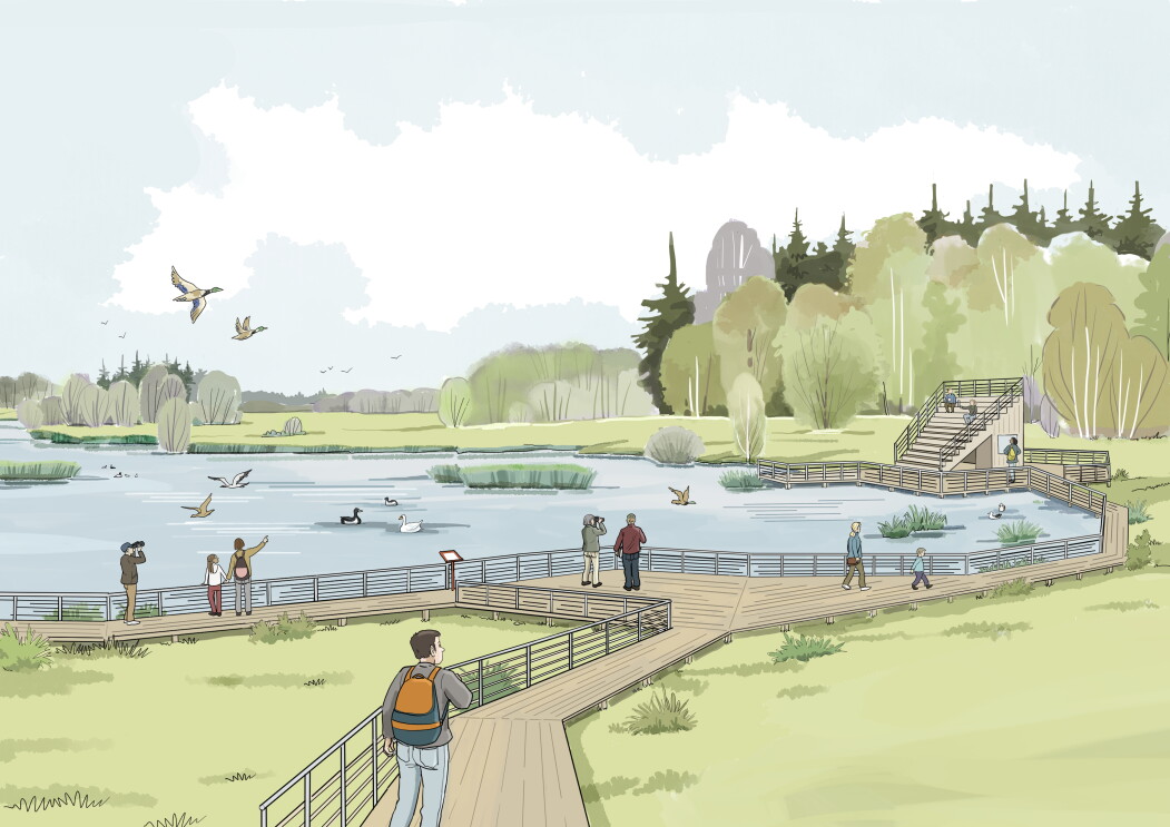 våtmark illustration