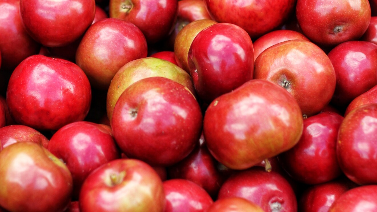 从上面看,几十个不同大小和形状的闪亮的红色和黄色苹果。