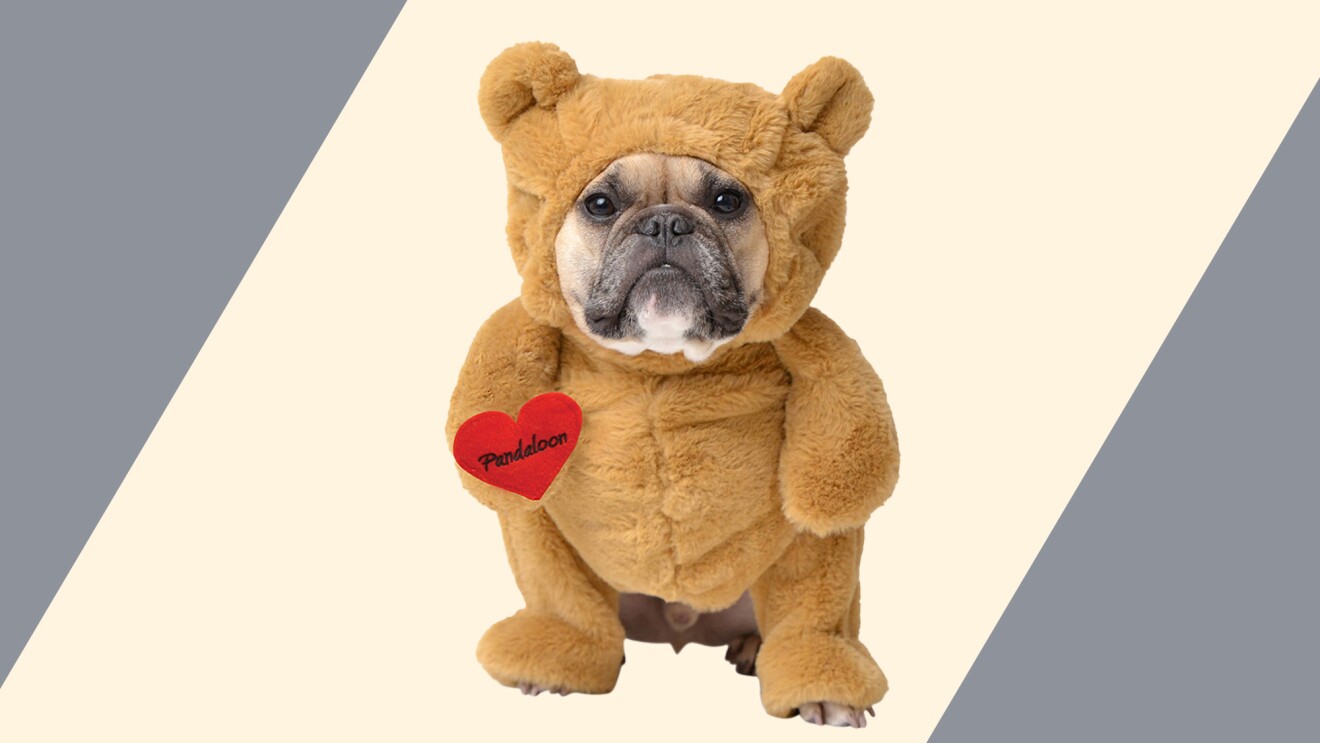 An image of a pug dog in a teddy bear costume. The costume makes him look like he's standing on two feet with  arms on either side. 