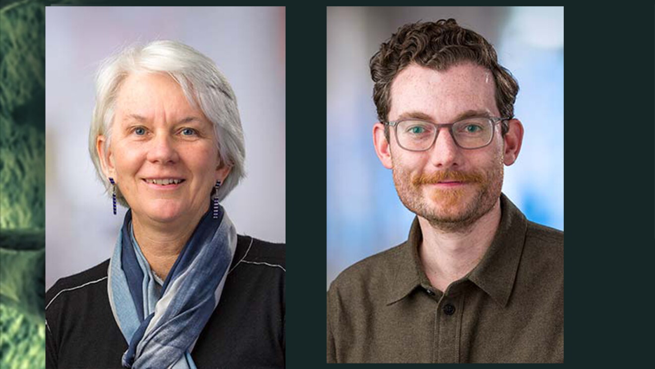Photos of two virology experts.